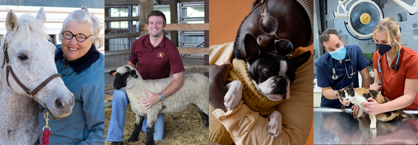 composite of four images of different people with their animals