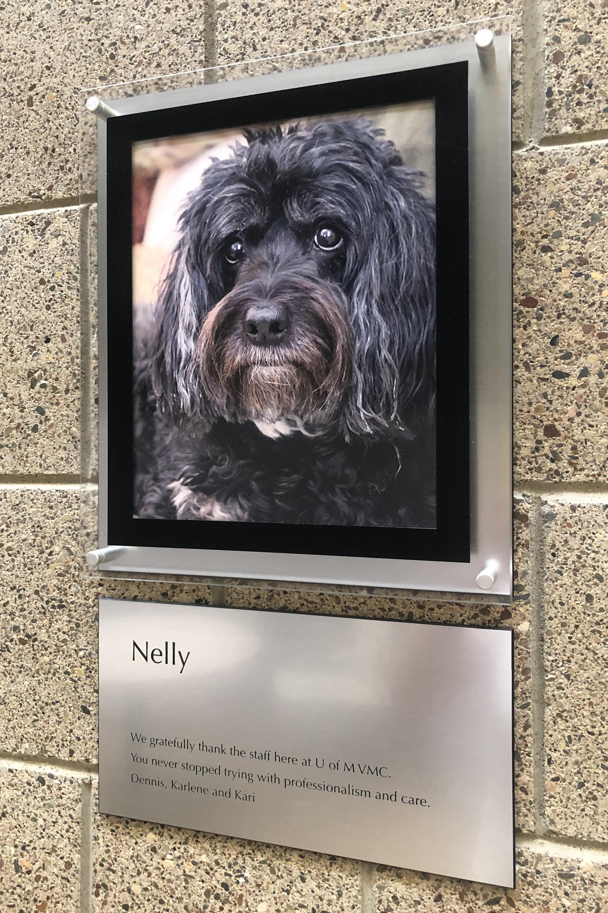 Small Animal Hospital wall plaque with photo to honor a pet