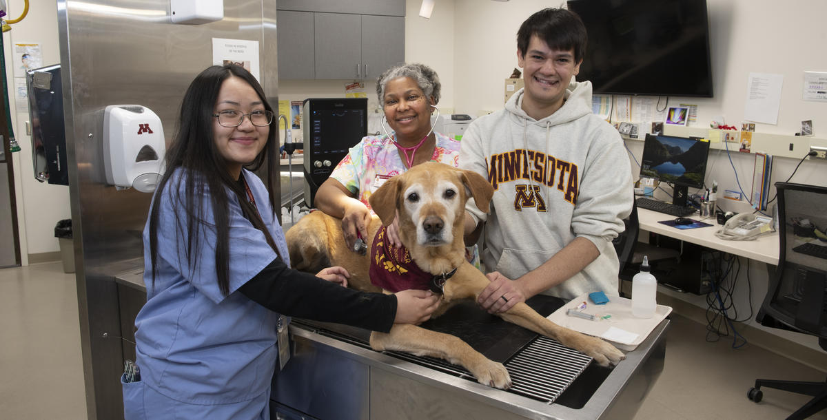 Vet tech and two others standing at a table with a dog